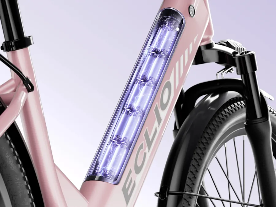 Integrated battery