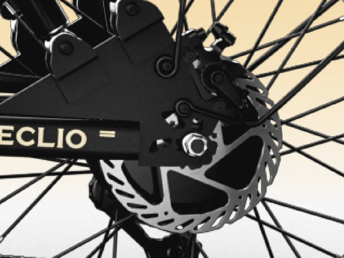 Disc Brake System