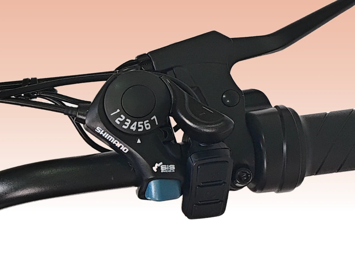 Shimano 7-Speed Gear System