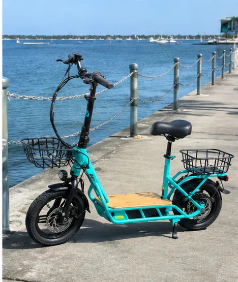 Electric scooter on the seawall by the marina